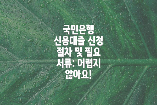 국민은행 신용대출 신청 절차 및 필요 서류: 어렵지 않아요!