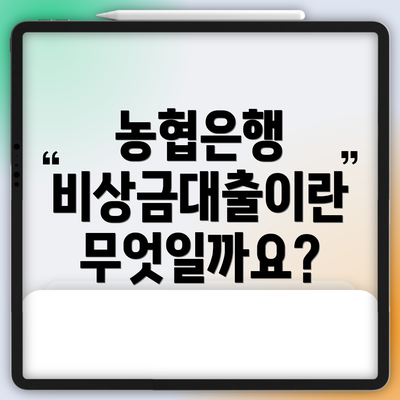 농협은행 비상금대출이란 무엇일까요?