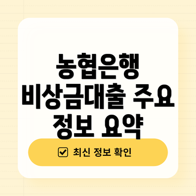 농협은행 비상금대출 주요 정보 요약
