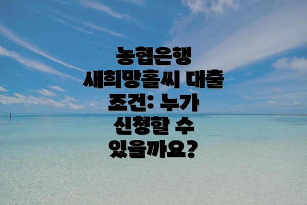 농협은행 새희망홀씨 대출 조건: 누가 신청할 수 있을까요?