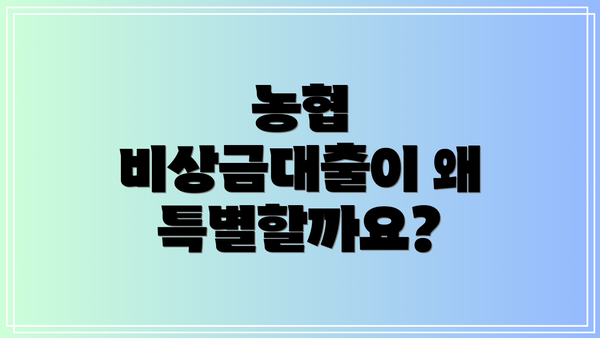 농협 비상금대출이 왜 특별할까요?