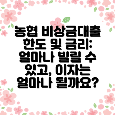 농협 비상금대출 한도 및 금리: 얼마나 빌릴 수 있고, 이자는 얼마나 될까요?