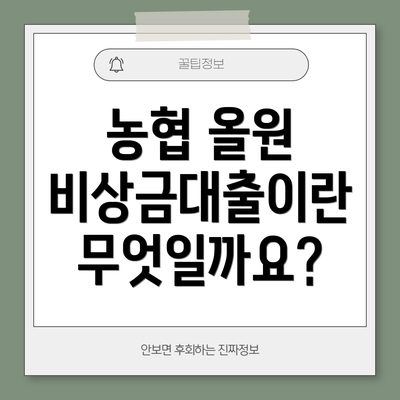 농협 올원 비상금대출이란 무엇일까요?