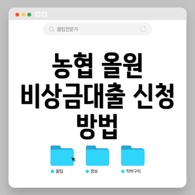 농협 올원 비상금대출 신청 방법