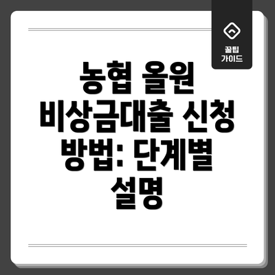 농협 올원 비상금대출 신청 방법: 단계별 설명