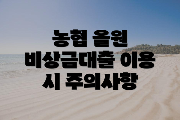 농협 올원 비상금대출 이용 시 주의사항