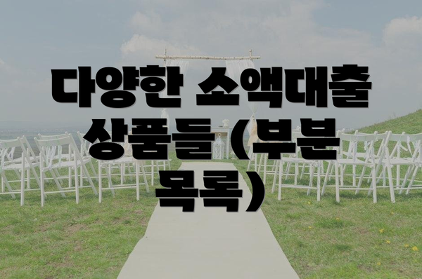 다양한 소액대출 상품들 (부분 목록)