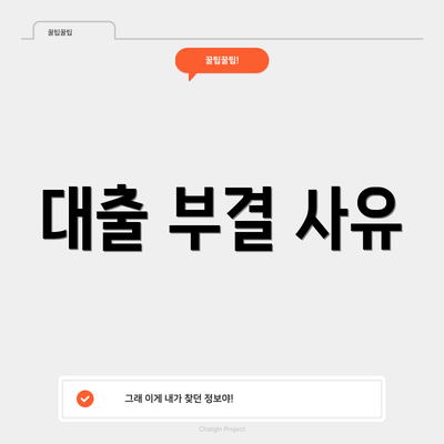 대출 부결 사유