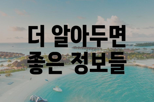 더 알아두면 좋은 정보들