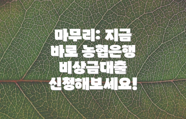 마무리: 지금 바로 농협은행 비상금대출 신청해보세요!