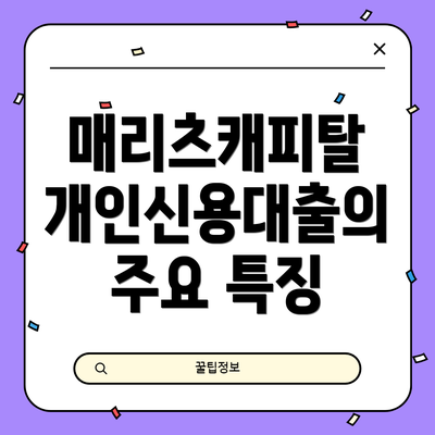 매리츠캐피탈 개인신용대출의 주요 특징