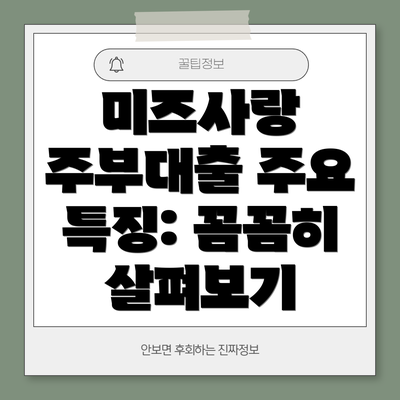 미즈사랑 주부대출 주요 특징: 꼼꼼히 살펴보기