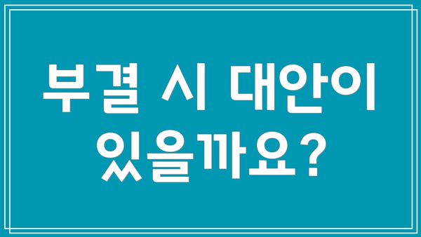 부결 시 대안이 있을까요?
