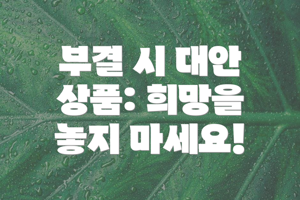 부결 시 대안 상품: 희망을 놓지 마세요!