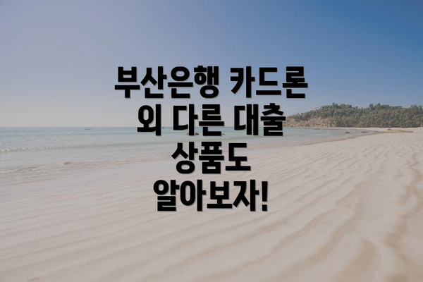 부산은행 카드론 외 다른 대출 상품도 알아보자!