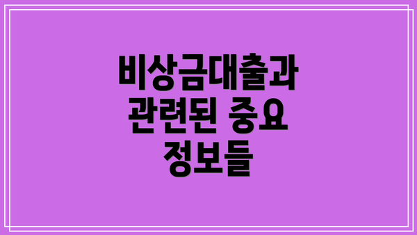 비상금대출과 관련된 중요 정보들