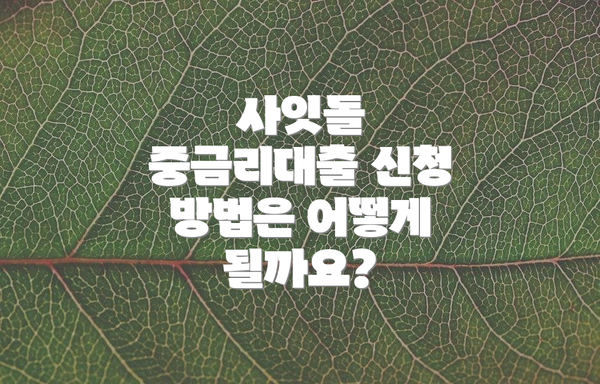 사잇돌 중금리대출 신청 방법은 어떻게 될까요?