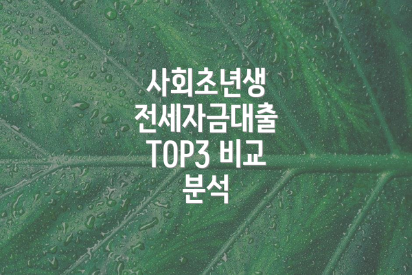 사회초년생 전세자금대출 TOP3 비교 분석