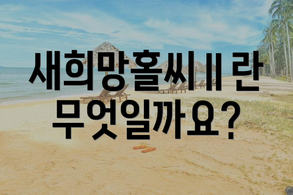 새희망홀씨Ⅱ란 무엇일까요?