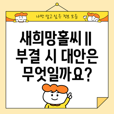 새희망홀씨Ⅱ 부결 시 대안은 무엇일까요?
