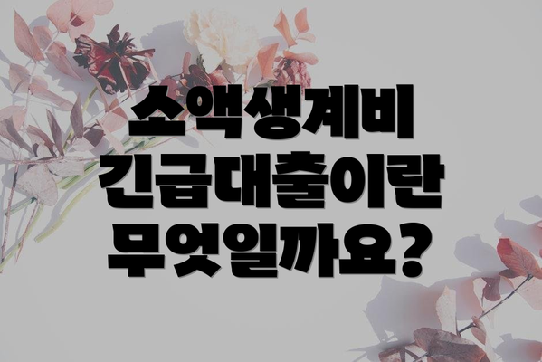 소액생계비 긴급대출이란 무엇일까요?