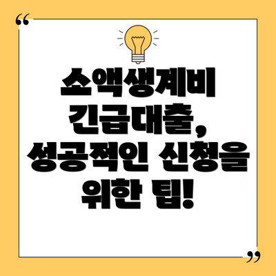 소액생계비 긴급대출, 성공적인 신청을 위한 팁!