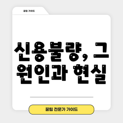 신용불량, 그 원인과 현실