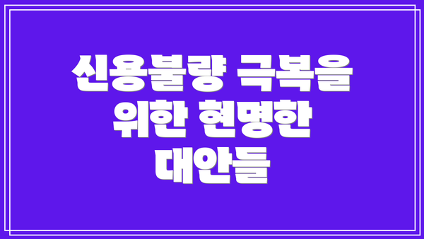 신용불량 극복을 위한 현명한 대안들