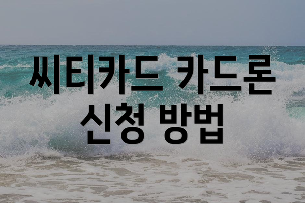 씨티카드 카드론 신청 방법
