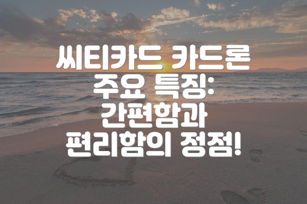 씨티카드 카드론 주요 특징: 간편함과 편리함의 정점!