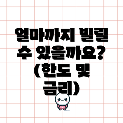 얼마까지 빌릴 수 있을까요? (한도 및 금리)