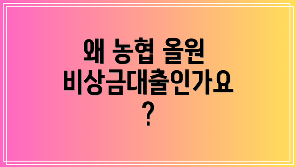 왜 농협 올원 비상금대출인가요?
