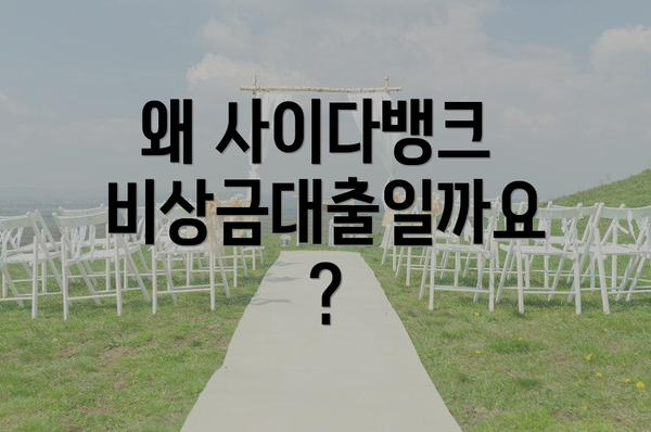 왜 사이다뱅크 비상금대출일까요?