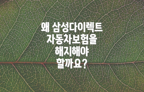 왜 삼성다이렉트 자동차보험을 해지해야 할까요?