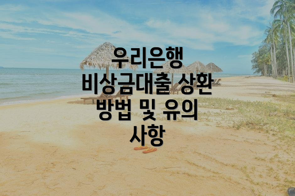 우리은행 비상금대출 상환 방법 및 유의 사항