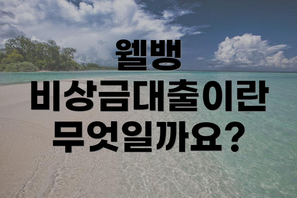 웰뱅 비상금대출이란 무엇일까요?