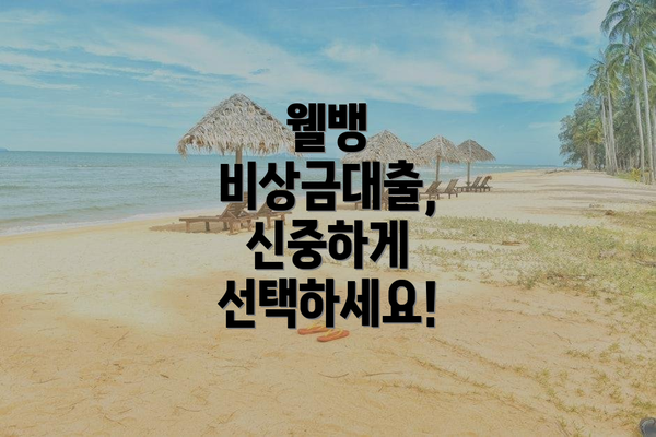 웰뱅 비상금대출,  신중하게 선택하세요!