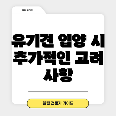 유기견 입양 시 추가적인 고려 사항