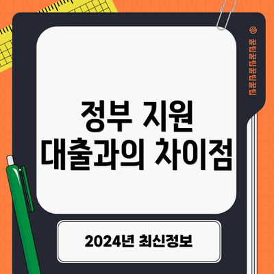 정부 지원 대출과의 차이점