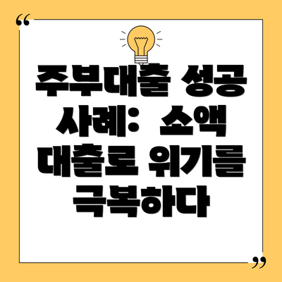 주부대출 성공 사례:  소액 대출로 위기를 극복하다