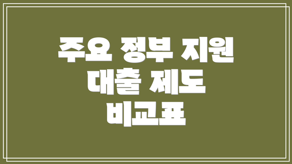 주요 정부 지원 대출 제도 비교표