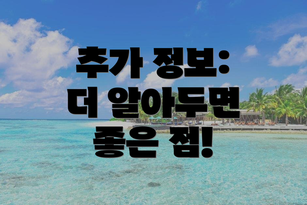 추가 정보:  더 알아두면 좋은 점!