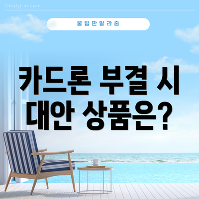 카드론 부결 시 대안 상품은?
