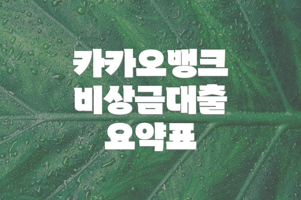 카카오뱅크 비상금대출 요약표