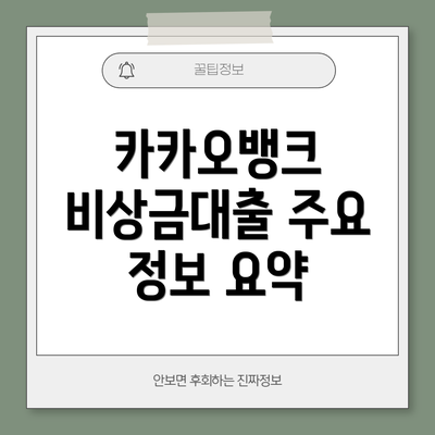 카카오뱅크 비상금대출 주요 정보 요약