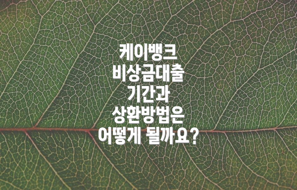 케이뱅크 비상금대출 기간과 상환방법은 어떻게 될까요?
