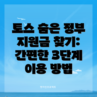 토스 숨은 정부 지원금 찾기:  간편한 3단계 이용 방법