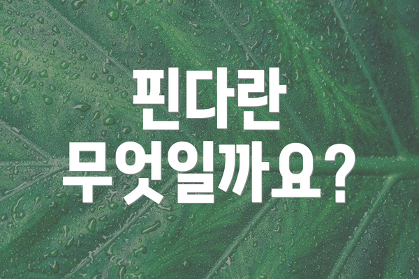 핀다란 무엇일까요?