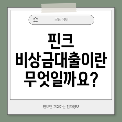 핀크 비상금대출이란 무엇일까요?