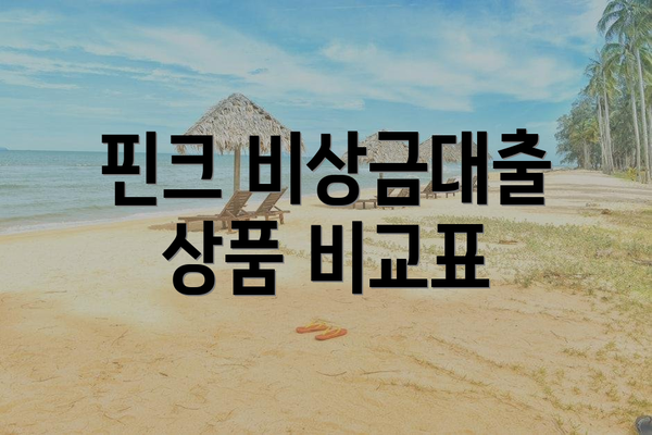 핀크 비상금대출 상품 비교표